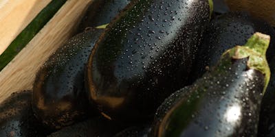 Simply in Season: The Marvelous Eggplant 
