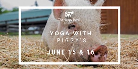 Yoga with Piggy's.  SOLD OUT!!