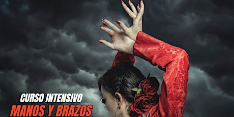 Imagem principal de Curso de Flamenco especial Brazos y Manos
