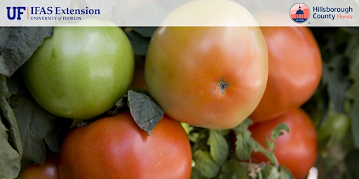 Image principale de Vegetable Microirrigation Workshop on ZOOM