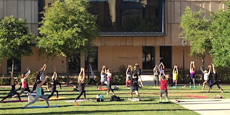 Hauptbild für Art + Yoga at the Anderson Collection