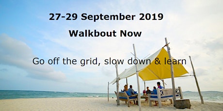 The Walkbout-Now Festival 2019 primary image