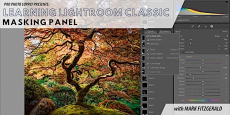 Learning the Lightroom Classic Masking Panel primary image