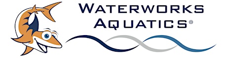 World's Largest Swimming Lesson - Waterworks Aquatics primary image