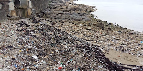 Plastic Waste Beach Cleanup with V Cycle primary image