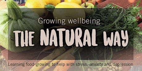Growing Wellbeing - FREE 6-session stress-buster primary image