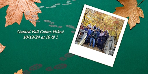 Imagem principal do evento Fall Colors Guided Hike 10 a.m.