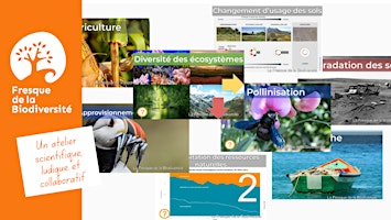 Imagen principal de En ligne | Fresque | Érosion de la biodiversité: comprendre et agir
