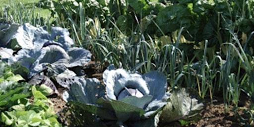 Backyard and Worm Composting Workshop primary image