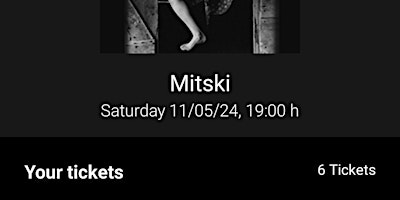 MITSKI 6 concert tickets 11/05/24 LONDON Eventim apollo FRONT STAGE primary image