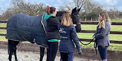 Equine Pilates Intro 1 Day Workshop primary image