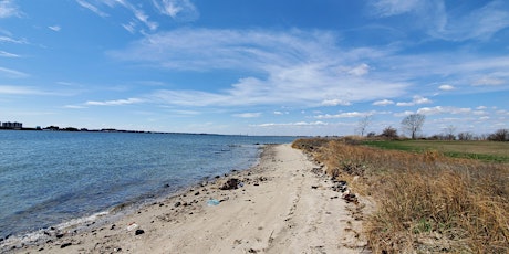 Broad Channel American Park Shoreline Cleanup