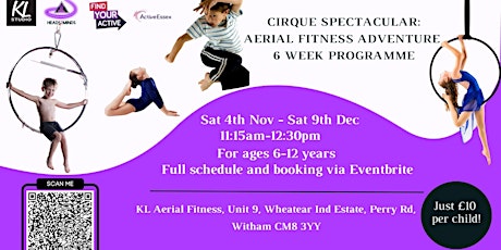 Cirque Spectacular:  Aerial Fitness Adventure 6 week Programme primary image