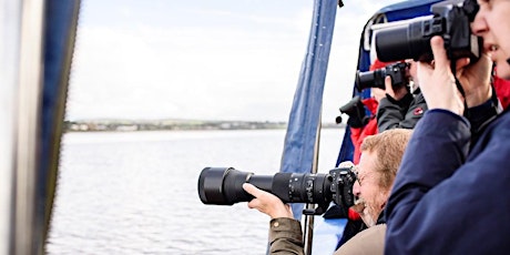 RSPB Wildlife Photography Workshop & Cruise primary image