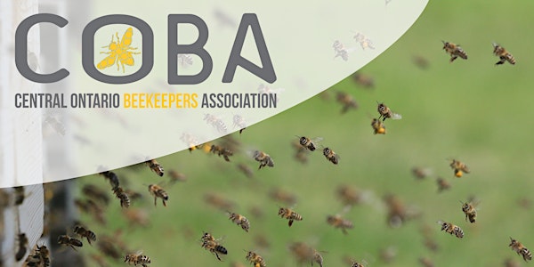 2019 Conference - Beekeeping Locally & Abroad: Issues, Challenges & Hope