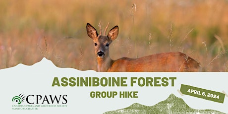 Group Hike on Sagimay Trail through Assiniboine Forest - 11 am