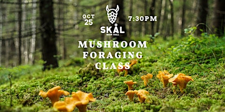 Mushroom Foraging Class primary image