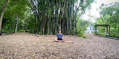 Imagen principal de Hatha Yoga in the Garden at Nehrling Gardens