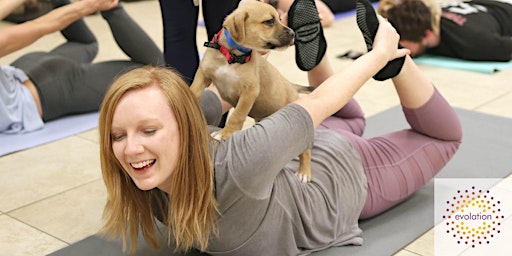 Imagem principal de Puppy Yoga