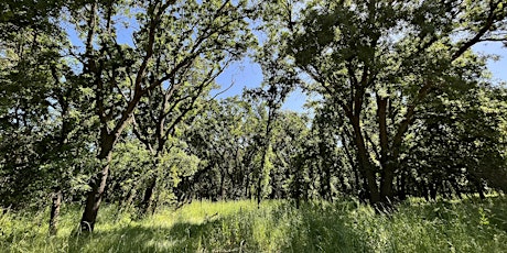 Natural and Cultural History Walk at the Cosumnes River Preserve primary image