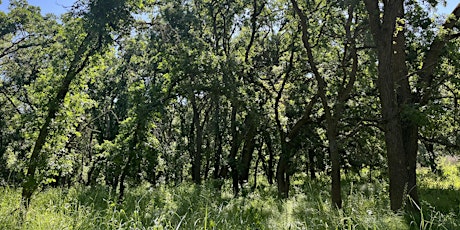 Image principale de Natural and Cultural History Walk at the Cosumnes River Preserve