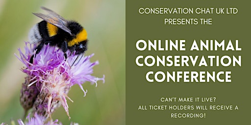 Imagem principal do evento Animal Conservation Online Conference 2024