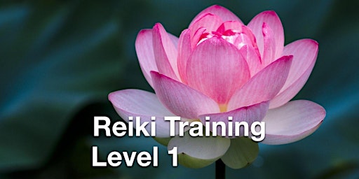 Primaire afbeelding van Reiki Training - Level 1 - One Day Training