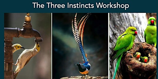 Enneagram Workshop - The Three Instincts (Subtypes) primary image