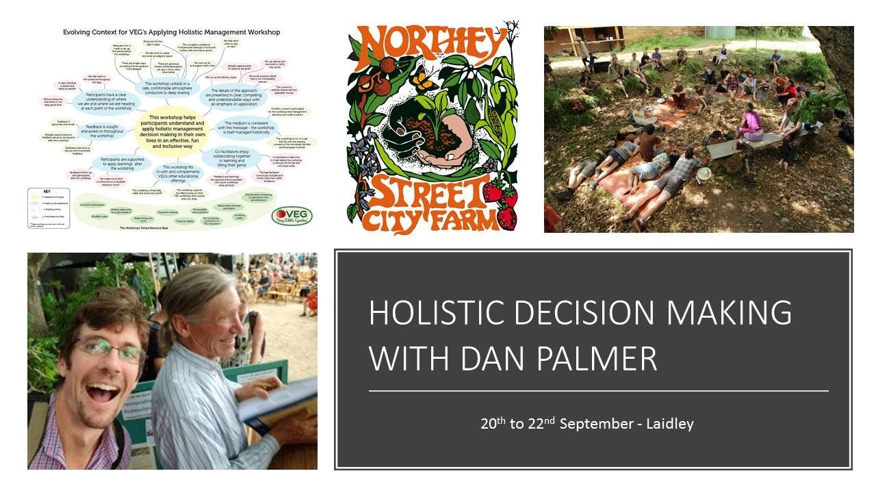 Holistic Decision Making with Dan Palmer