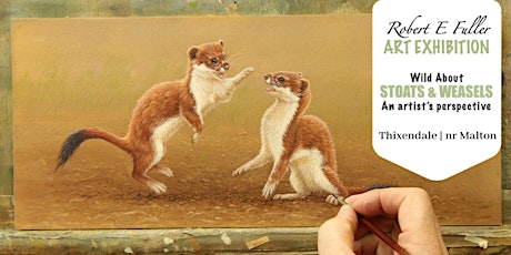 Wild About | STOATS & WEASELS | Art Exhibition primary image