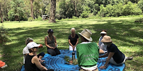 FOREST BATHING, an experience in nature, in the Royal National Park