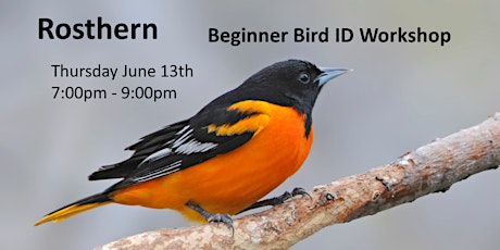 Rosthern - Beginner Bird ID Workshop primary image