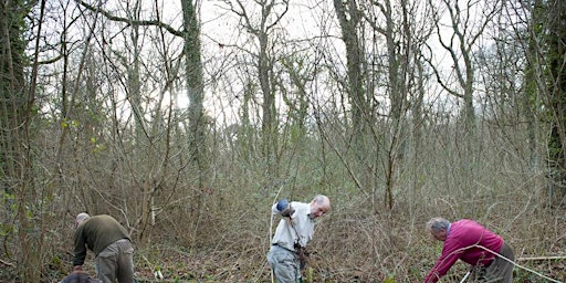 Hauptbild für Small Woodland Management - 2024