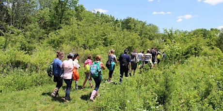 The Watershed Institute Hike & Nature Activities