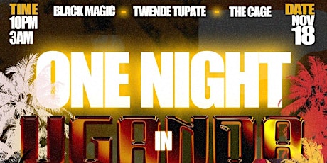 ONE NIGHT IN UGANDA primary image