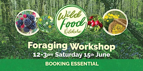 Wild Food Foraging Workshop primary image