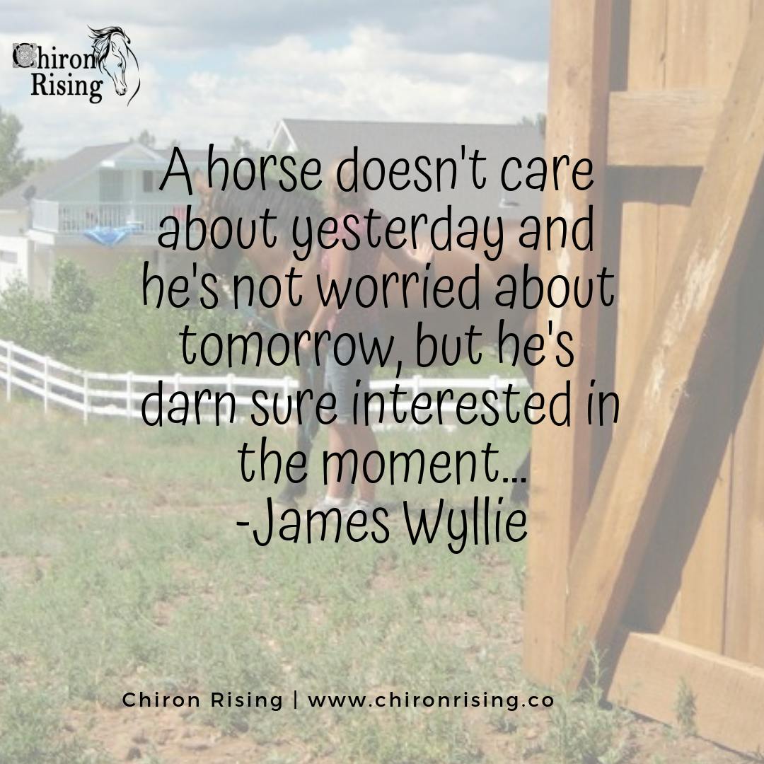 Presence and Awareness with Horses 6/27/19