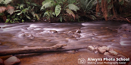 Imagem principal do evento Rivers/Redwoods & Rain-Forests-Landscape Photography Course 2 (Warburton)
