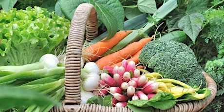 Introduction to planning your Edible Garden primary image