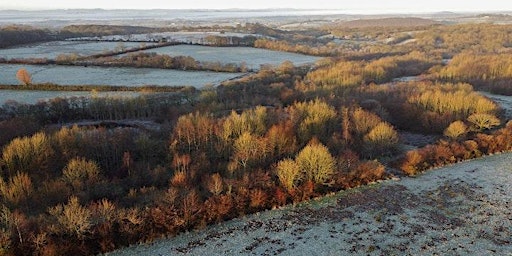 Hauptbild für Practical Rewilding - the science and application of rewilding principles