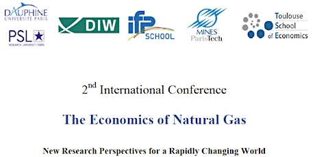 Image principale de The Economics of Natural Gas:   New Research Perspectives for a Rapidly Changing World