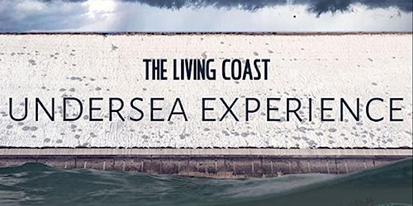 The Living Coast Undersea Experience & activities at Birling Gap