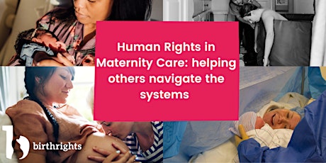 Imagen principal de Human Rights in Maternity Care: helping others navigate the system