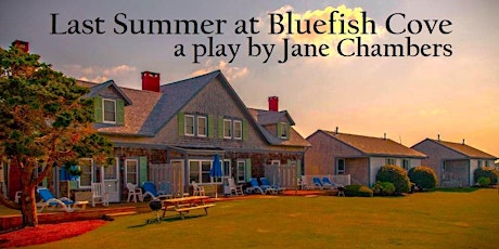 Last Summer at Bluefish Cove primary image