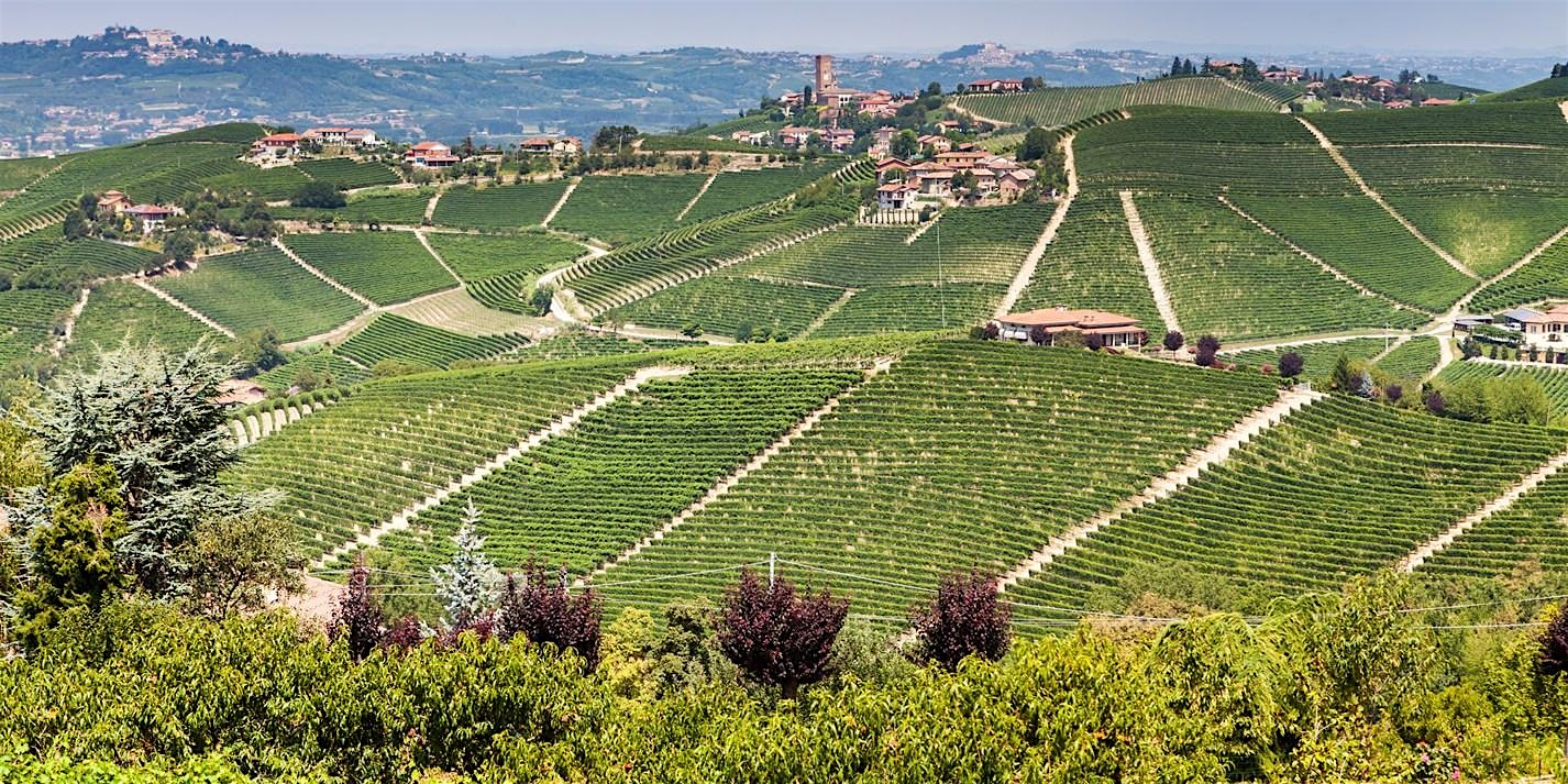 The Wines of Barolo