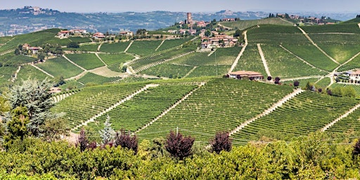 Hauptbild für The Wines of Barolo