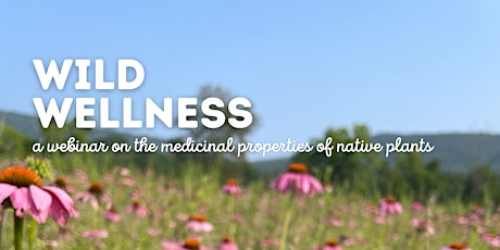 Wild Wellness: A Webinar on the Medicinal Properties of Native Plants  primärbild