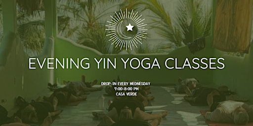 Immagine principale di Yin Yoga Classes 