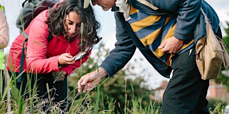 Image principale de Celebrating Nature Connections in Knowle West