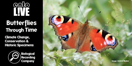 Imagem principal do evento Butterflies Through Time: Climate Change, Conservation & Historic Specimens